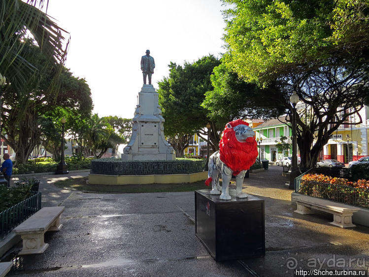 "Львы Понсе" — оригинальный способ почтить своих со-горожан