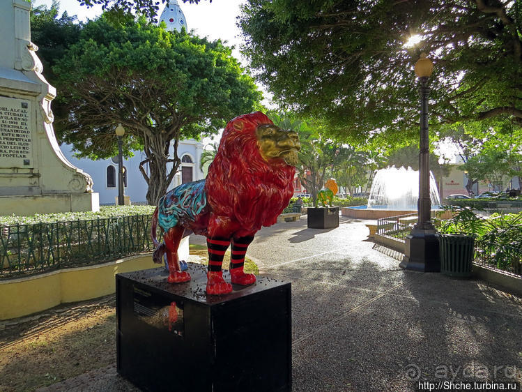 "Львы Понсе" — оригинальный способ почтить своих со-горожан