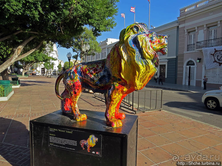 "Львы Понсе" — оригинальный способ почтить своих со-горожан
