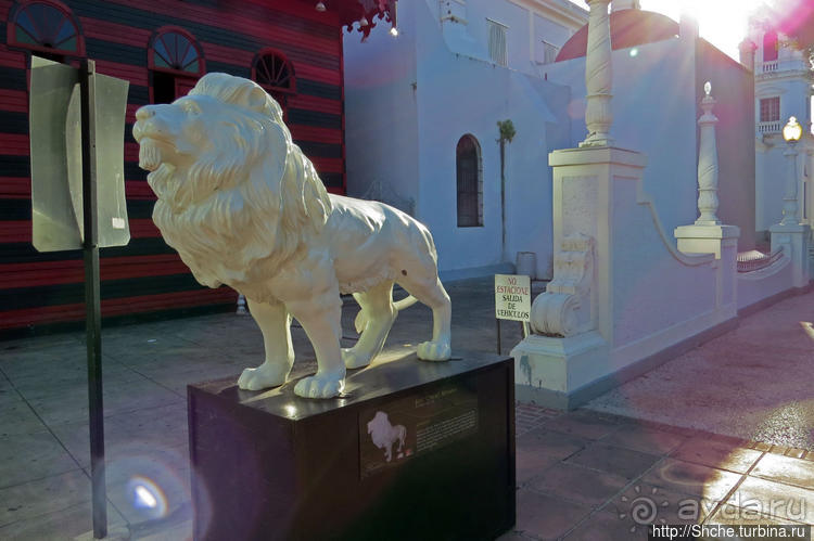 "Львы Понсе" — оригинальный способ почтить своих со-горожан