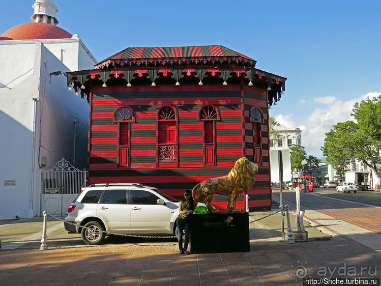 "Львы Понсе" — оригинальный способ почтить своих со-горожан