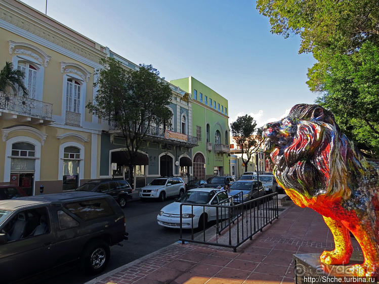 "Львы Понсе" — оригинальный способ почтить своих со-горожан