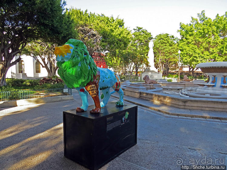 "Львы Понсе" — оригинальный способ почтить своих со-горожан