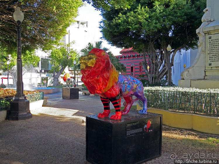 "Львы Понсе" — оригинальный способ почтить своих со-горожан