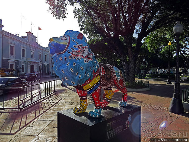"Львы Понсе" — оригинальный способ почтить своих со-горожан