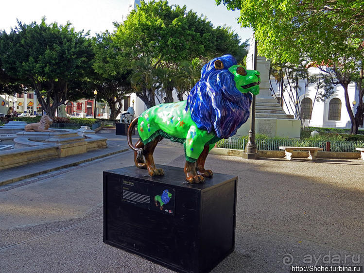 "Львы Понсе" — оригинальный способ почтить своих со-горожан