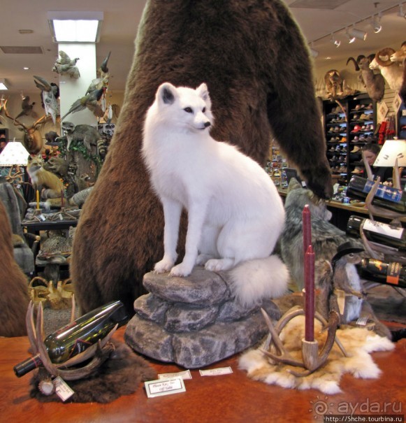 Jackson Mercantile - такой не банальный сувенирный магазин.