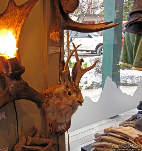 Jackson Mercantile - такой не банальный сувенирный магазин.