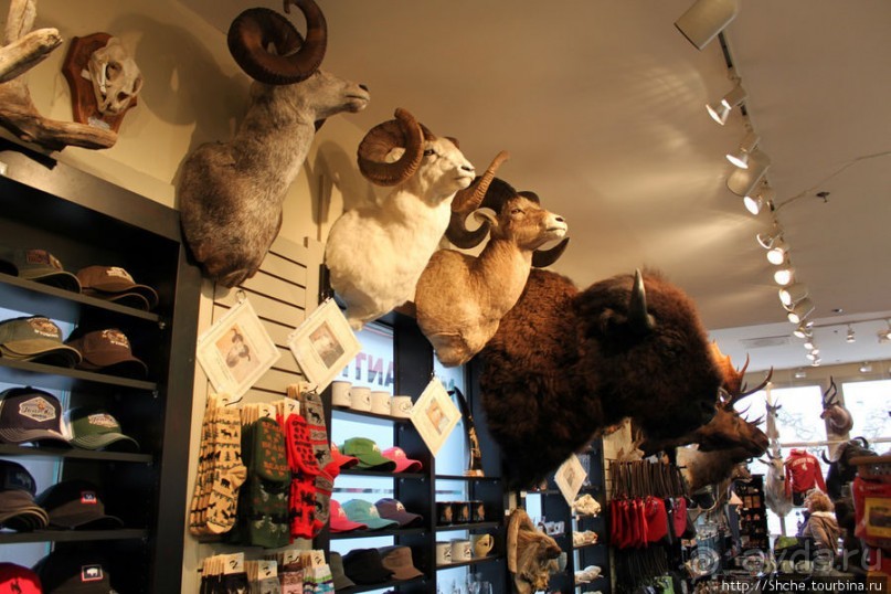 Jackson Mercantile - такой не банальный сувенирный магазин.