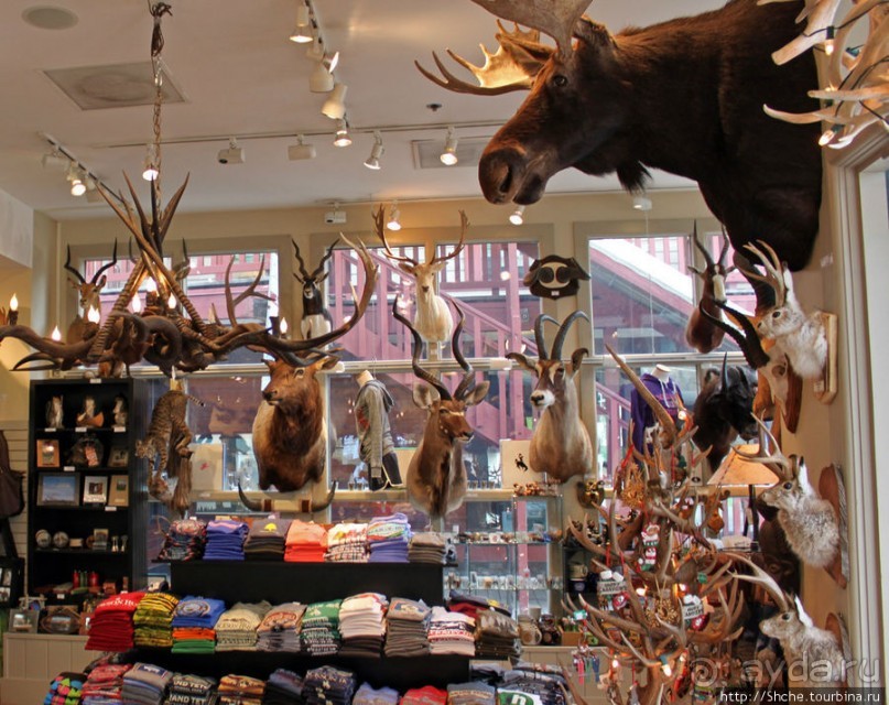 Jackson Mercantile - такой не банальный сувенирный магазин.