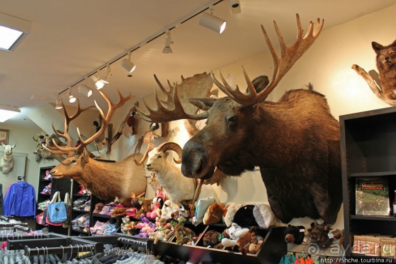 Jackson Mercantile - такой не банальный сувенирный магазин.