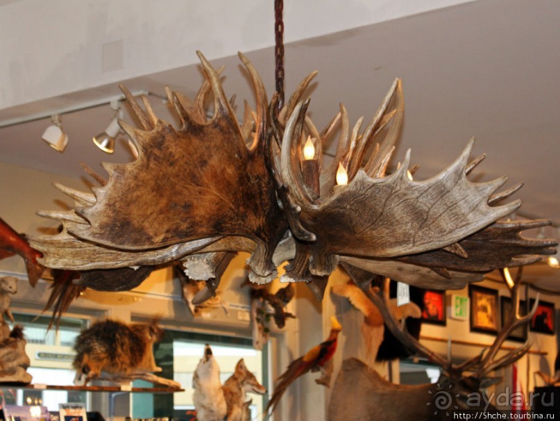 Jackson Mercantile - такой не банальный сувенирный магазин.