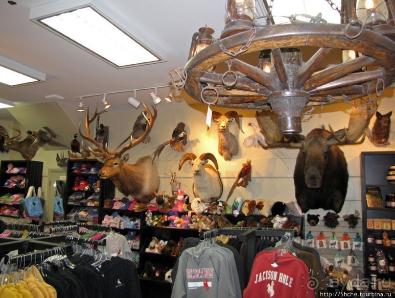 Jackson Mercantile - такой не банальный сувенирный магазин.