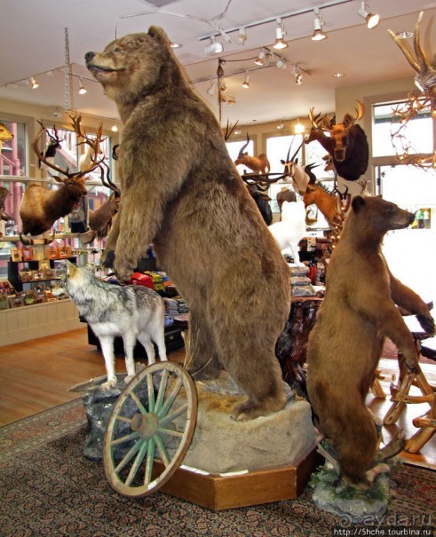 Jackson Mercantile - такой не банальный сувенирный магазин.