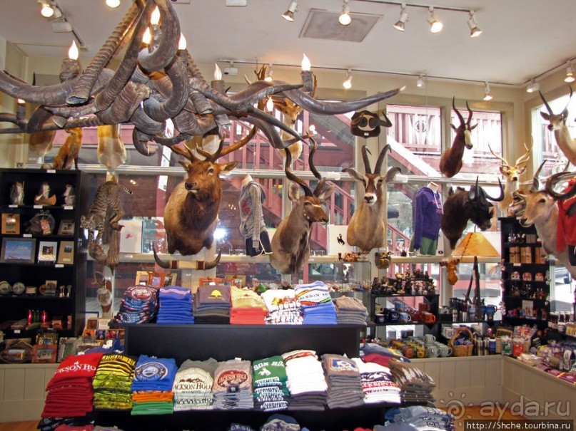 Jackson Mercantile - такой не банальный сувенирный магазин.