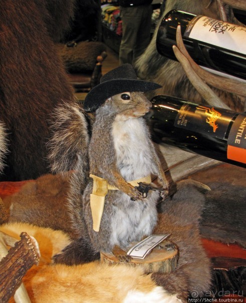 Jackson Mercantile - такой не банальный сувенирный магазин.