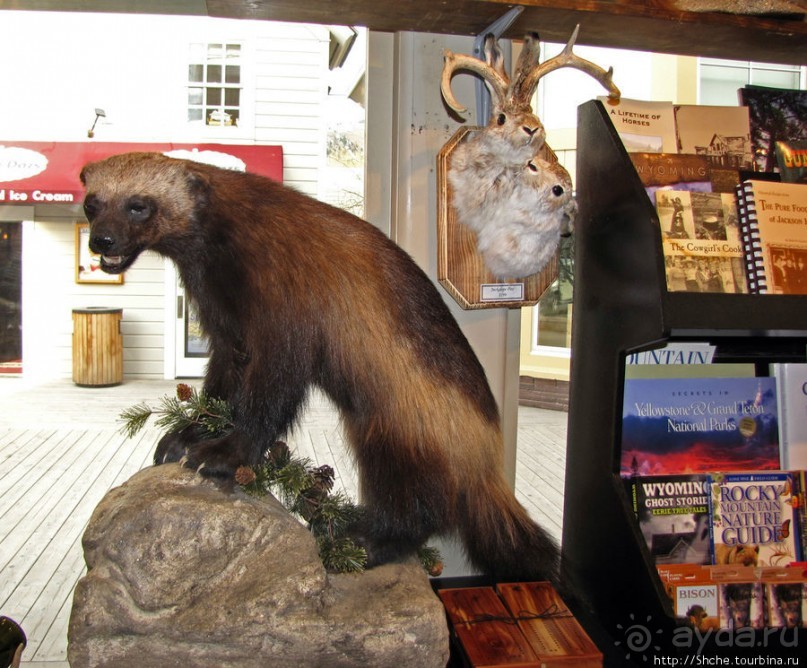 Jackson Mercantile - такой не банальный сувенирный магазин.