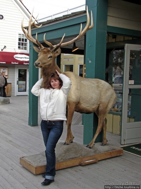 Jackson Mercantile - такой не банальный сувенирный магазин.