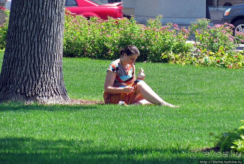 Капитолий штата Висконсин в Мэдисоне