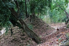 Копан — центр майянского царства Шукууп (объект ЮНЕСКО №129)