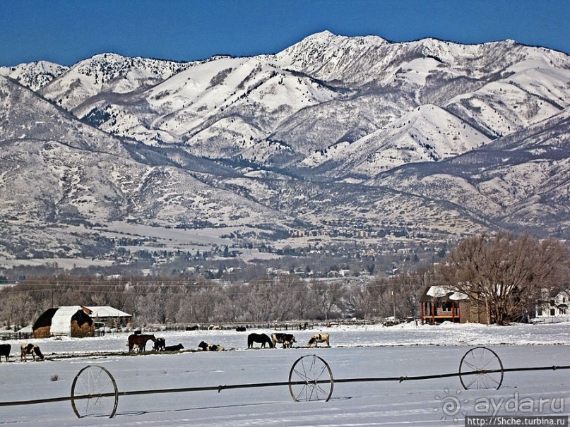 Хебер-Сити — обычный городок в глубинке штата Юта