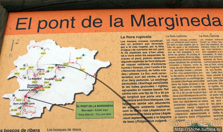 Андоррский понт