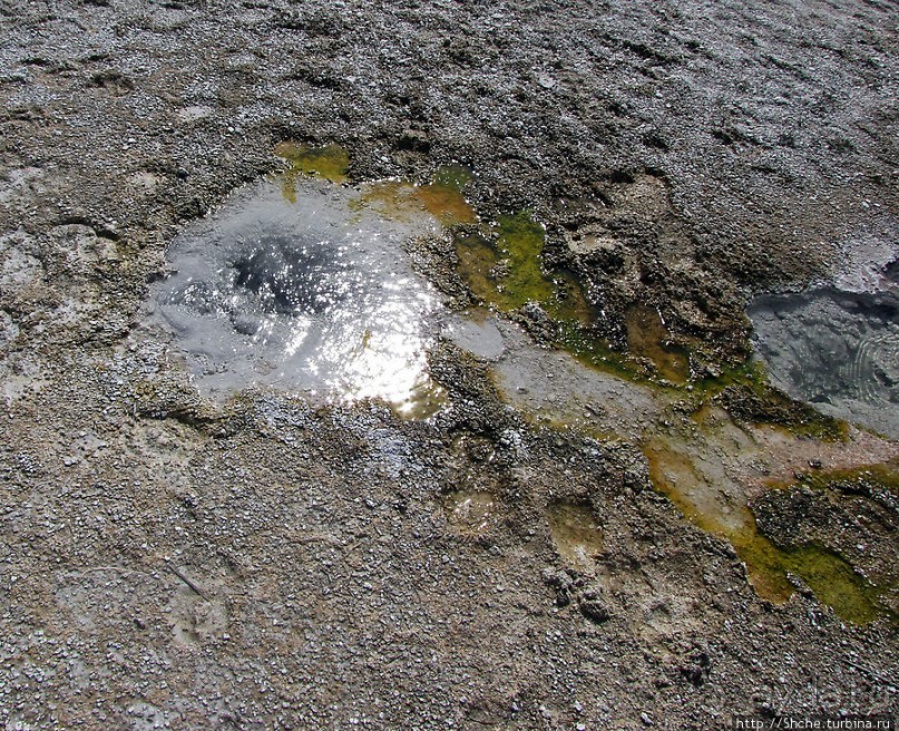 От гейзера к гейзеру. Возвращение на Geyser Hill