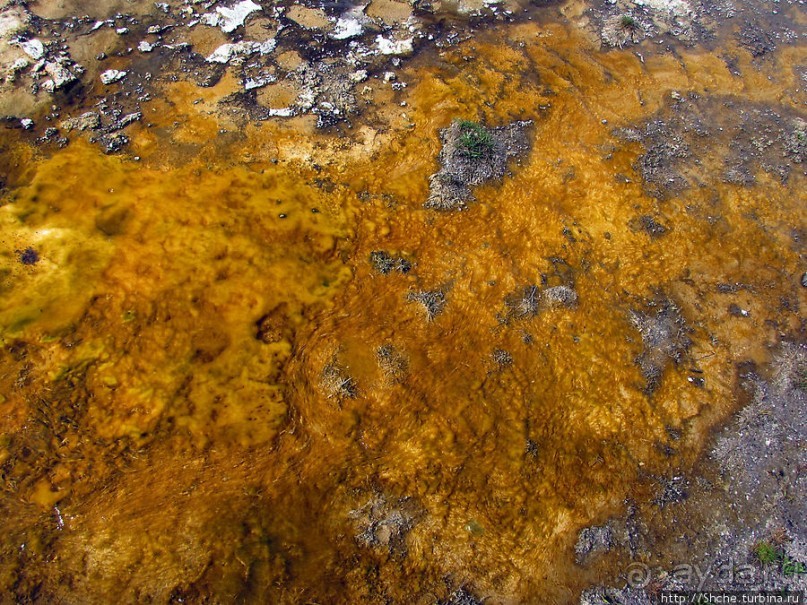 От гейзера к гейзеру. Возвращение на Geyser Hill
