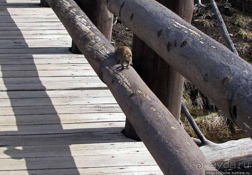 От гейзера к гейзеру. Возвращение на Geyser Hill