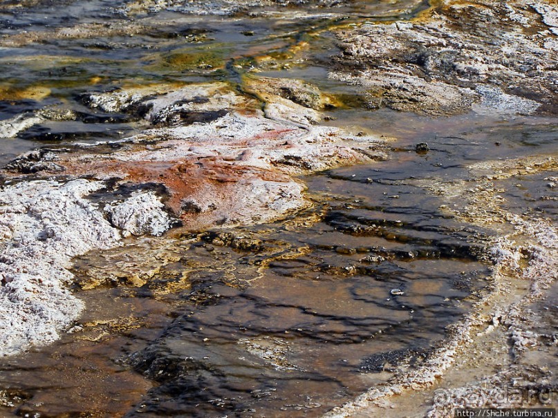 От гейзера к гейзеру. Возвращение на Geyser Hill