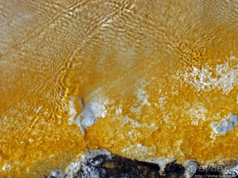 От гейзера к гейзеру. Возвращение на Geyser Hill