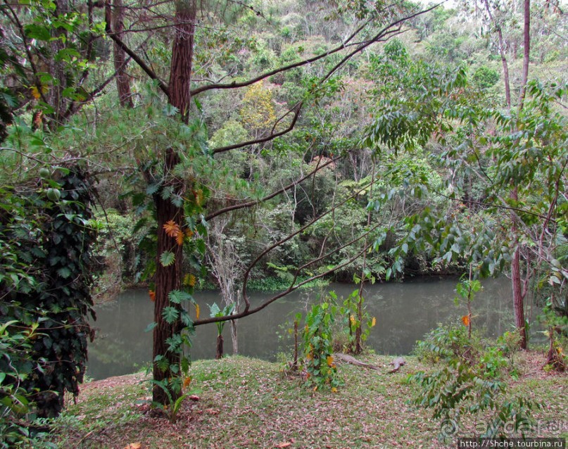 "Заглянуть в глаза крокодилам" в частном парке "Vakona"