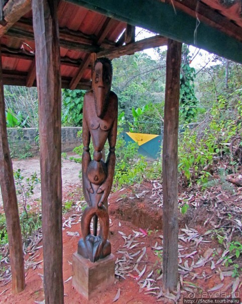 "Заглянуть в глаза крокодилам" в частном парке "Vakona"