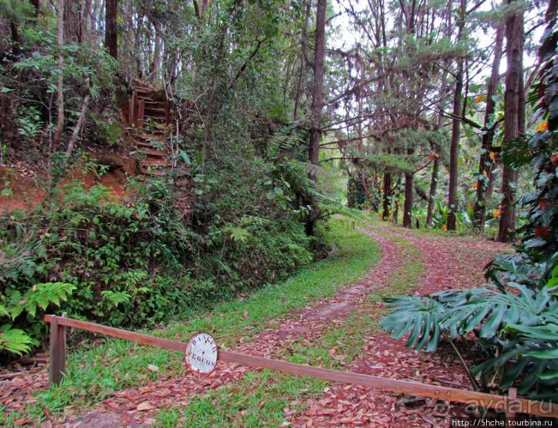 "Заглянуть в глаза крокодилам" в частном парке "Vakona"