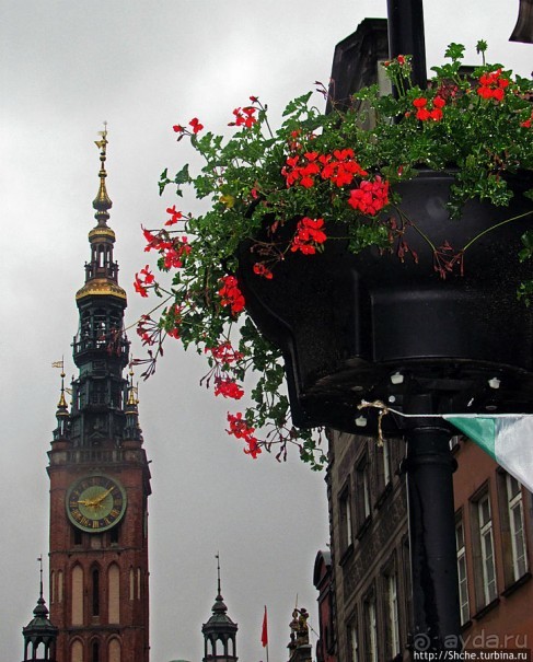 Кусочек Королевского тракта — улица Dlugi Targ в Гданьске