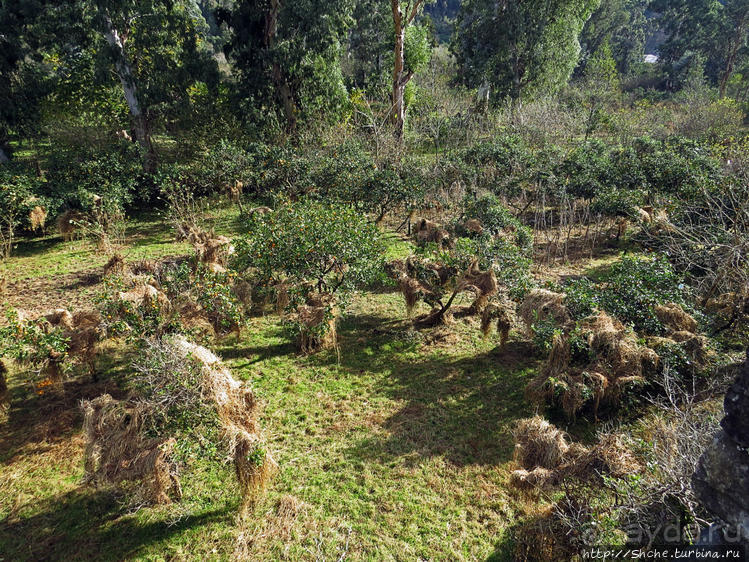 Крепость Гонио. Стены, на стенах, за стенами, внутри стен