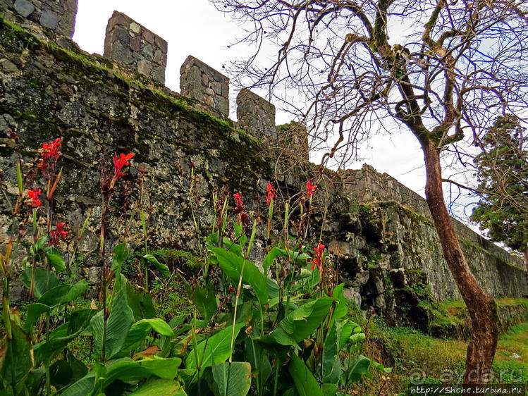 Крепость Гонио. Стены, на стенах, за стенами, внутри стен