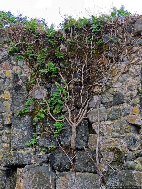 Крепость Гонио. Стены, на стенах, за стенами, внутри стен