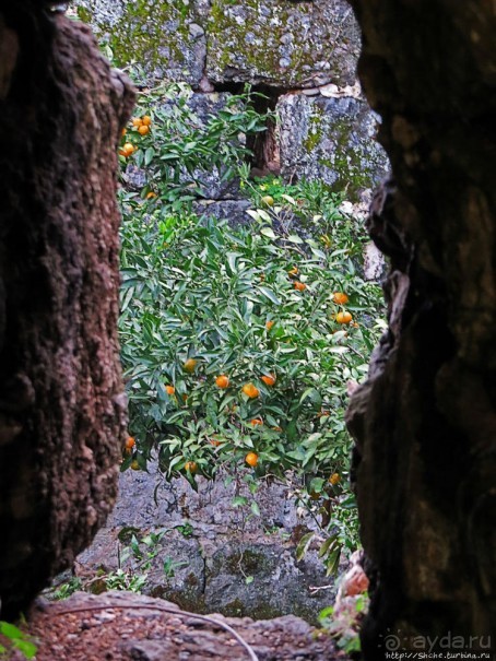 Крепость Гонио. Стены, на стенах, за стенами, внутри стен
