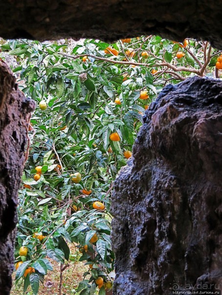 Крепость Гонио. Стены, на стенах, за стенами, внутри стен