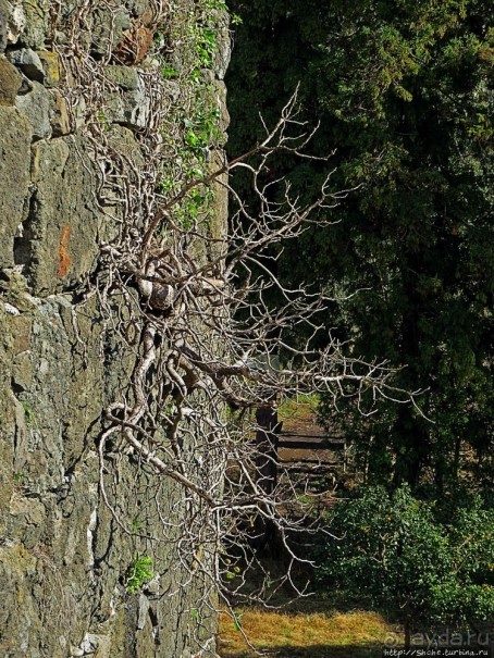 Крепость Гонио. Стены, на стенах, за стенами, внутри стен