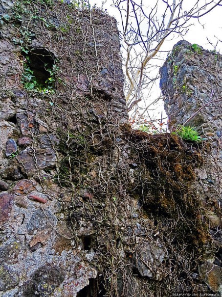 Крепость Гонио. Стены, на стенах, за стенами, внутри стен