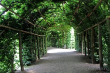 Дворцово-парковый комплекс Потсдама. Вокруг и около Сан-Суси