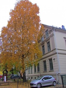 По нетопаным тропам протопали... Район Майорштюн в Осло