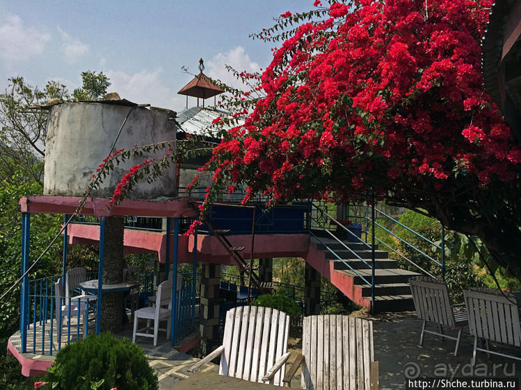 Не знакомы с непальской кухней? Смело заказываем мо-мо