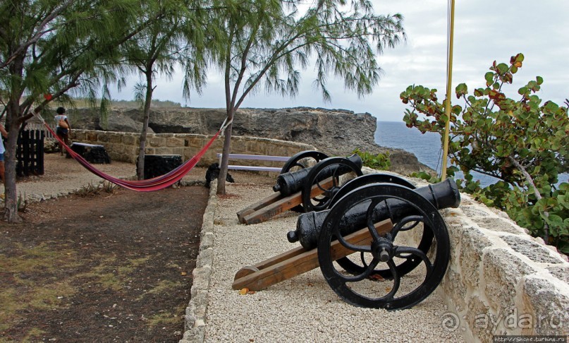 "Отличное" местоположение и "удовлетворительное" меню