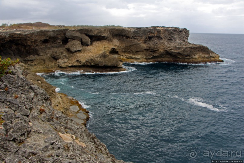 "Отличное" местоположение и "удовлетворительное" меню