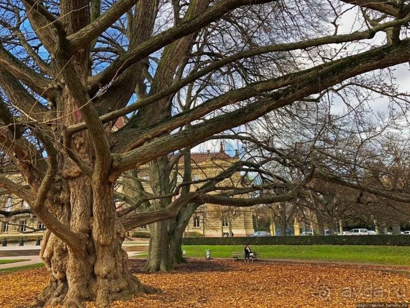 Площадь Республики — главная площадь "немецкого" Страсбурга