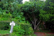 У пещеры нет плохой погоды. Купания в Cathedral Cave
