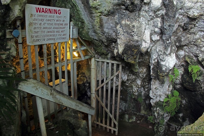 У пещеры нет плохой погоды. Купания в Cathedral Cave